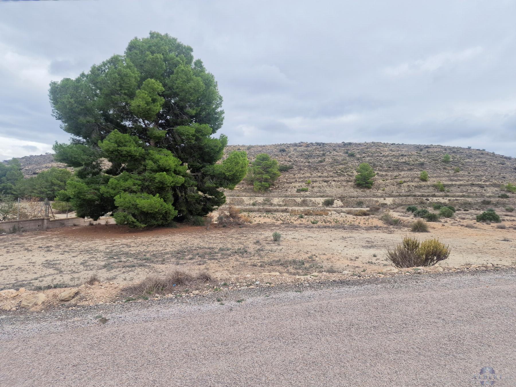 For sale of land in Monóvar-Monòver