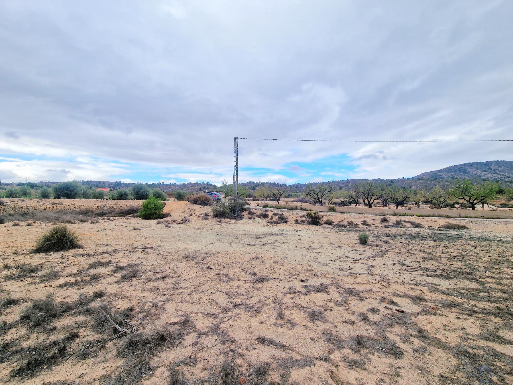 For sale of land in Monóvar-Monòver