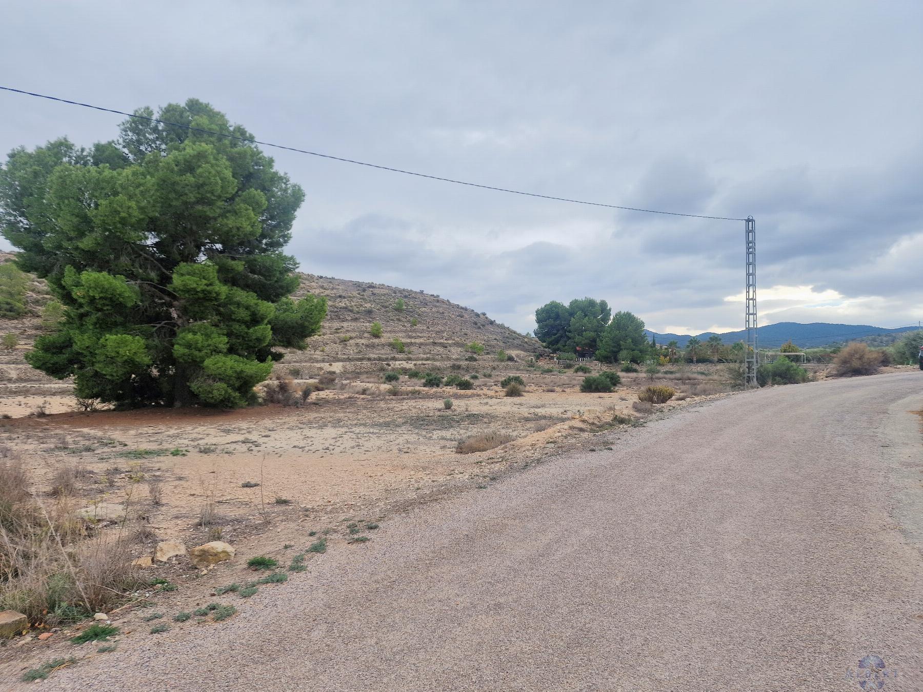For sale of land in Monóvar-Monòver