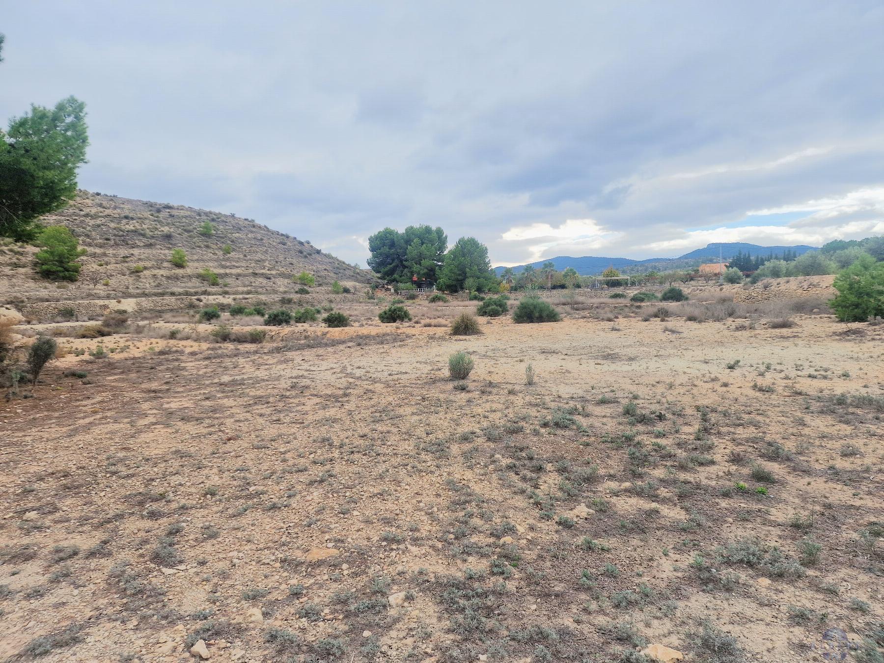 For sale of land in Monóvar-Monòver