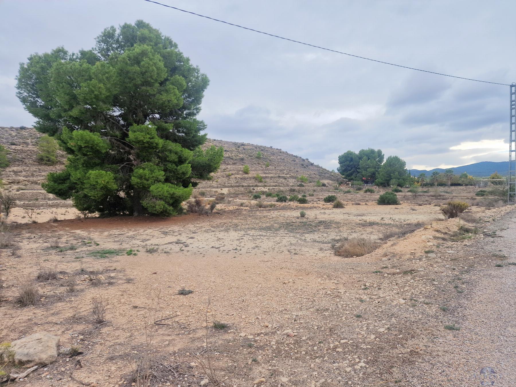 For sale of land in Monóvar-Monòver