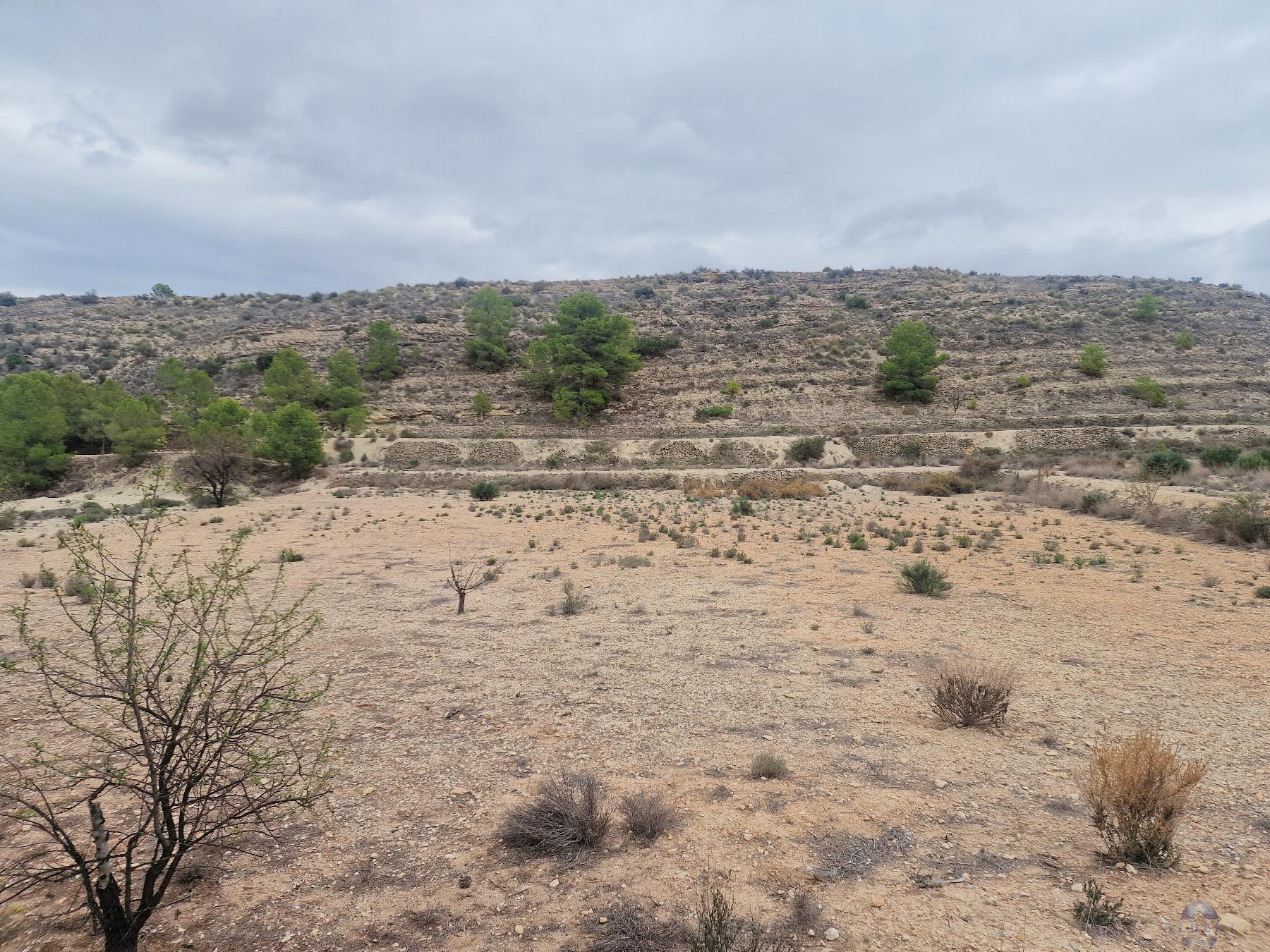 For sale of land in Monóvar-Monòver
