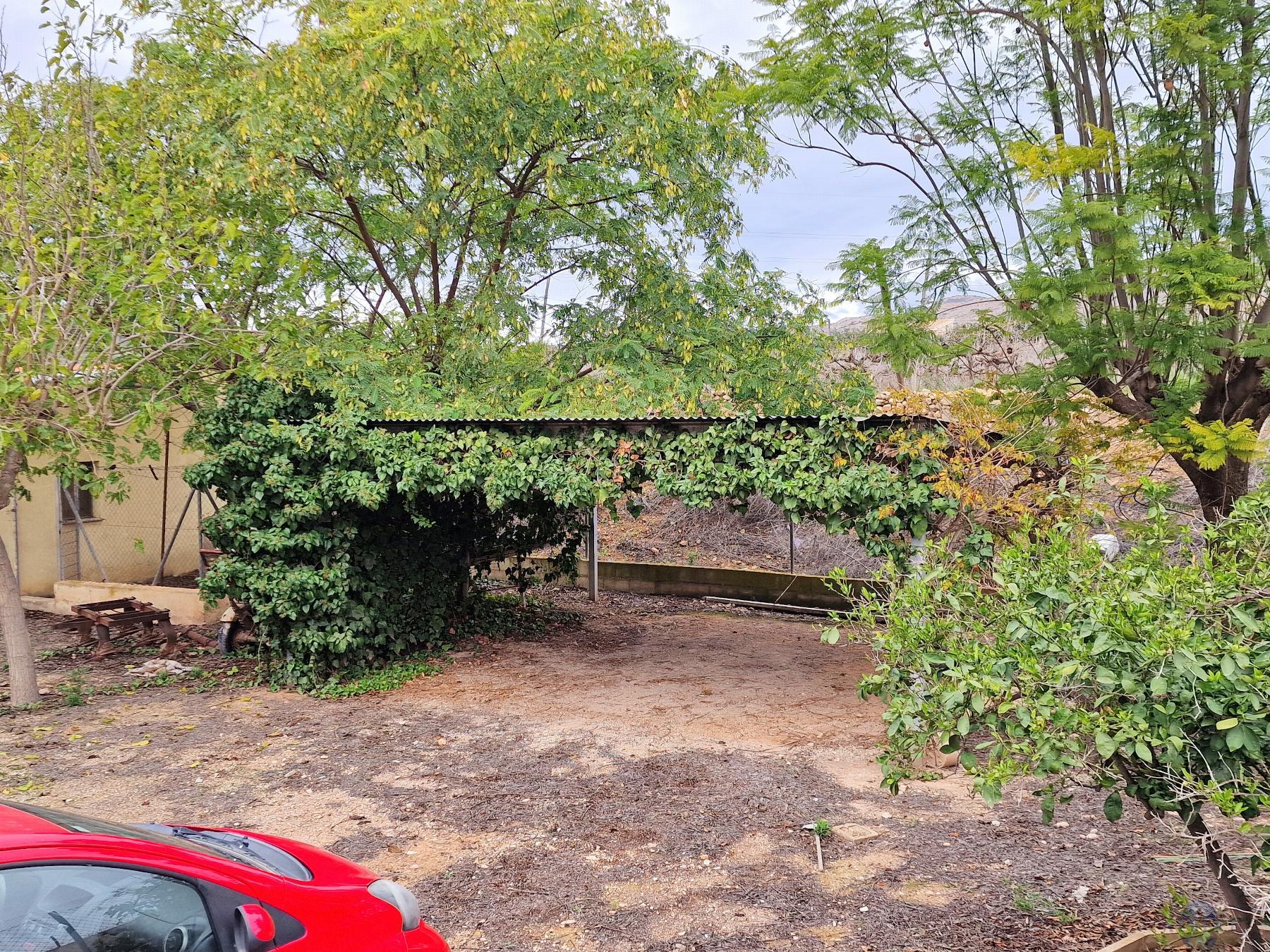 Venta de chalet en Novelda