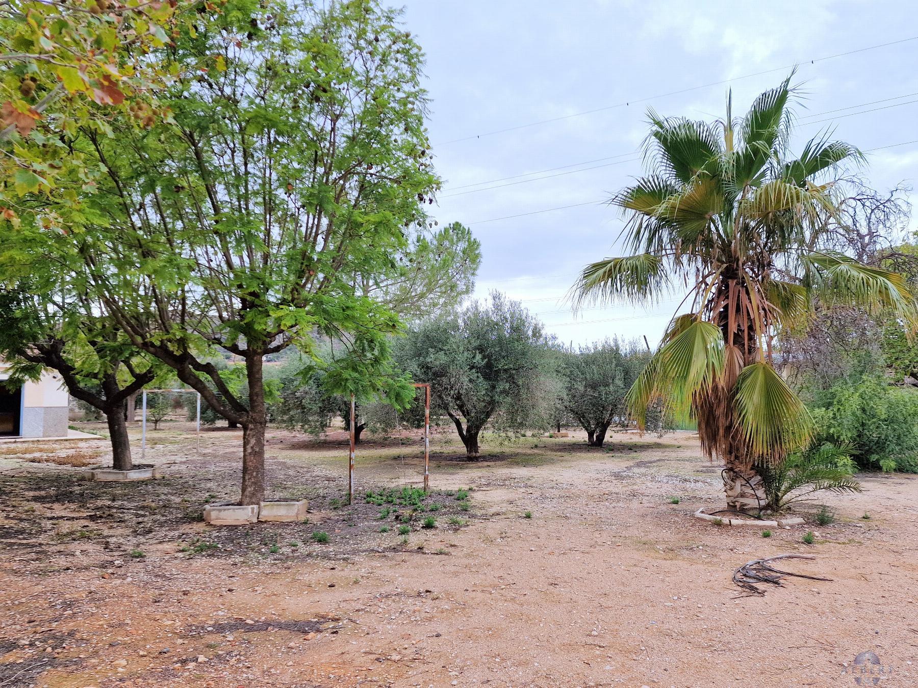 Venta de chalet en Novelda