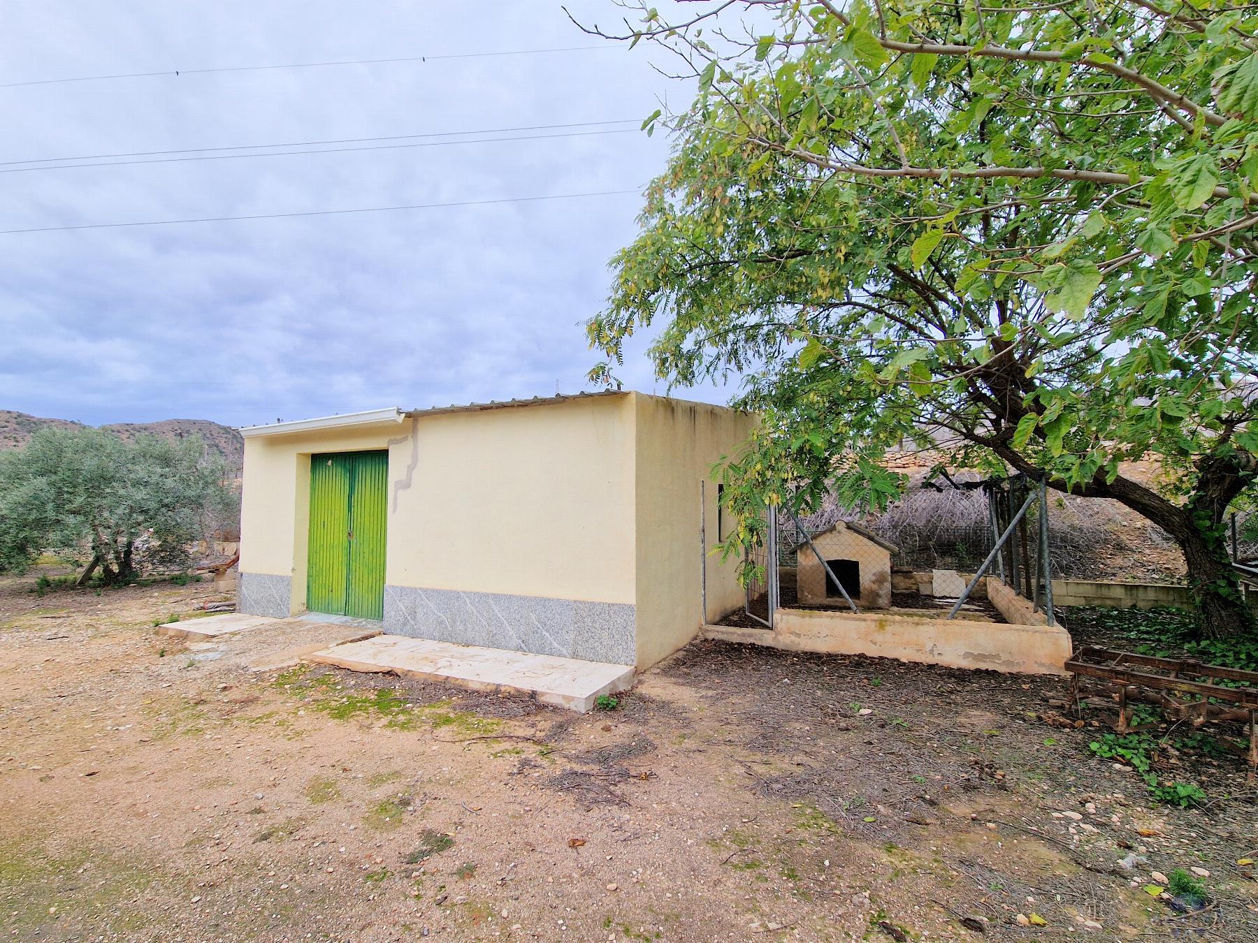 Venta de chalet en Novelda