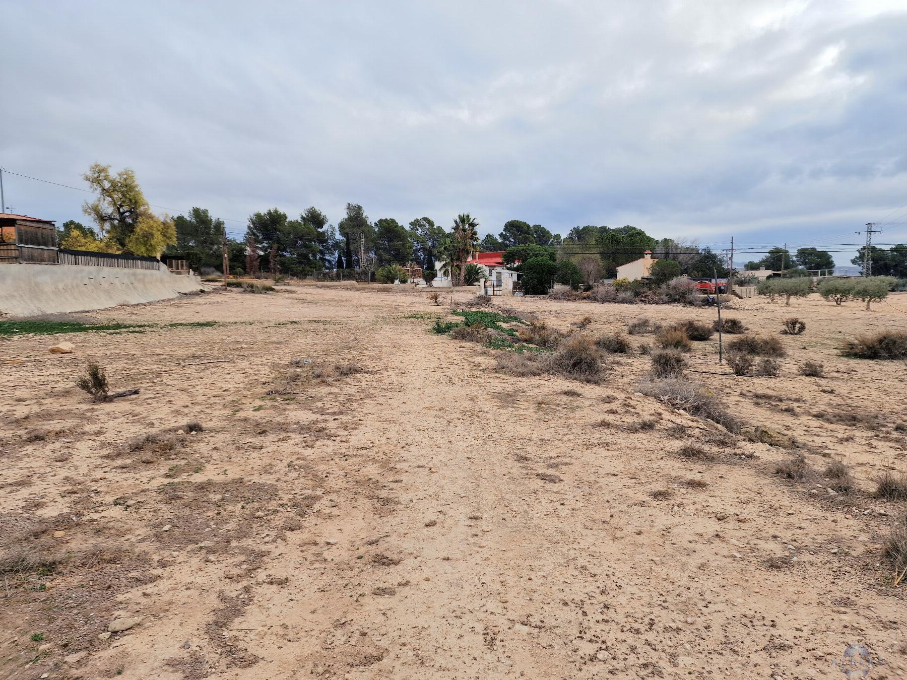 Venta de terreno en Monóvar-Monòver
