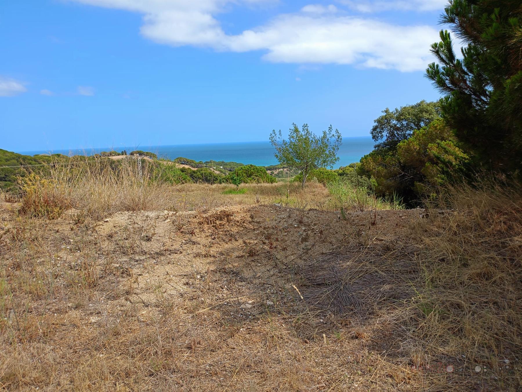 Alquiler de terreno en Canet de Mar