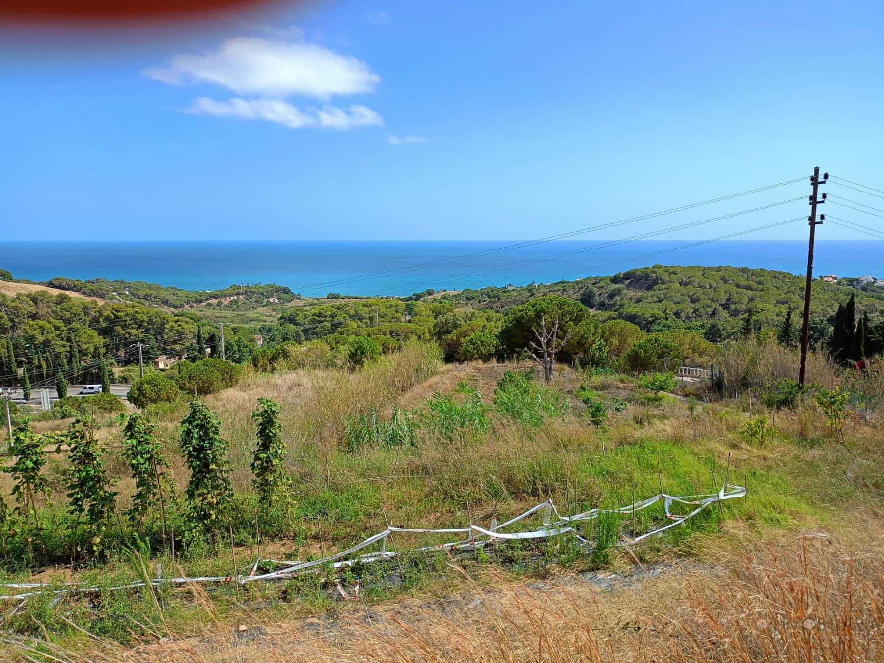 Alquiler de terreno en Canet de Mar