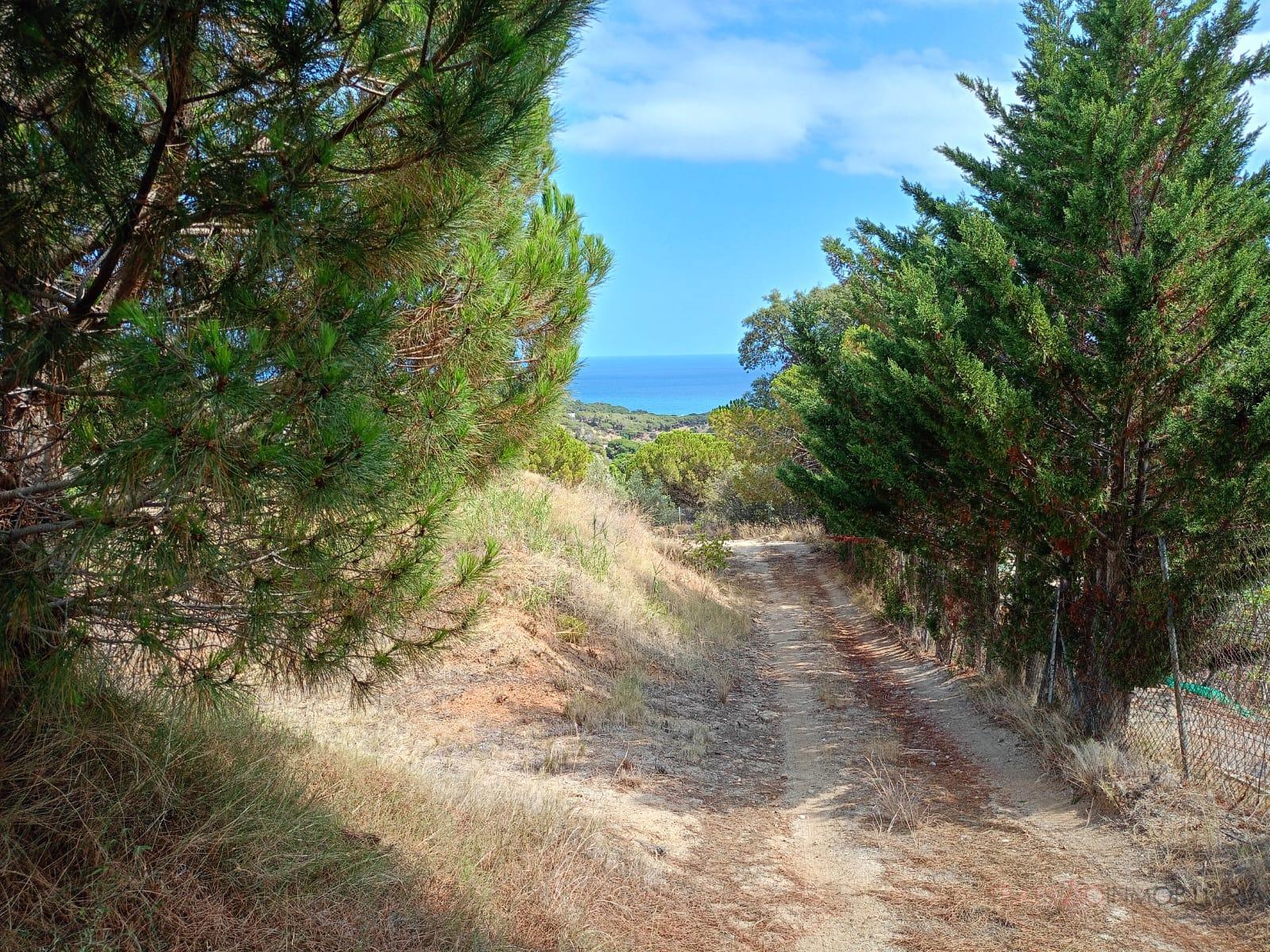 Alquiler de terreno en Canet de Mar