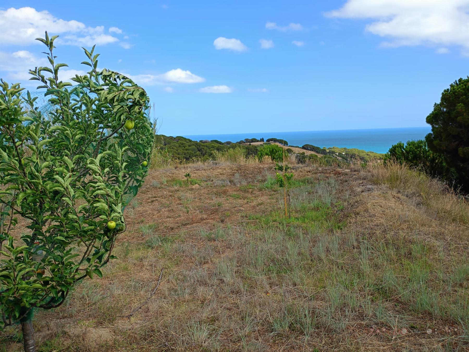 Alquiler de terreno en Canet de Mar