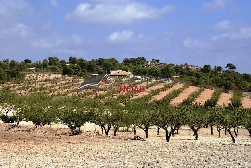 For sale of rural property in Mula