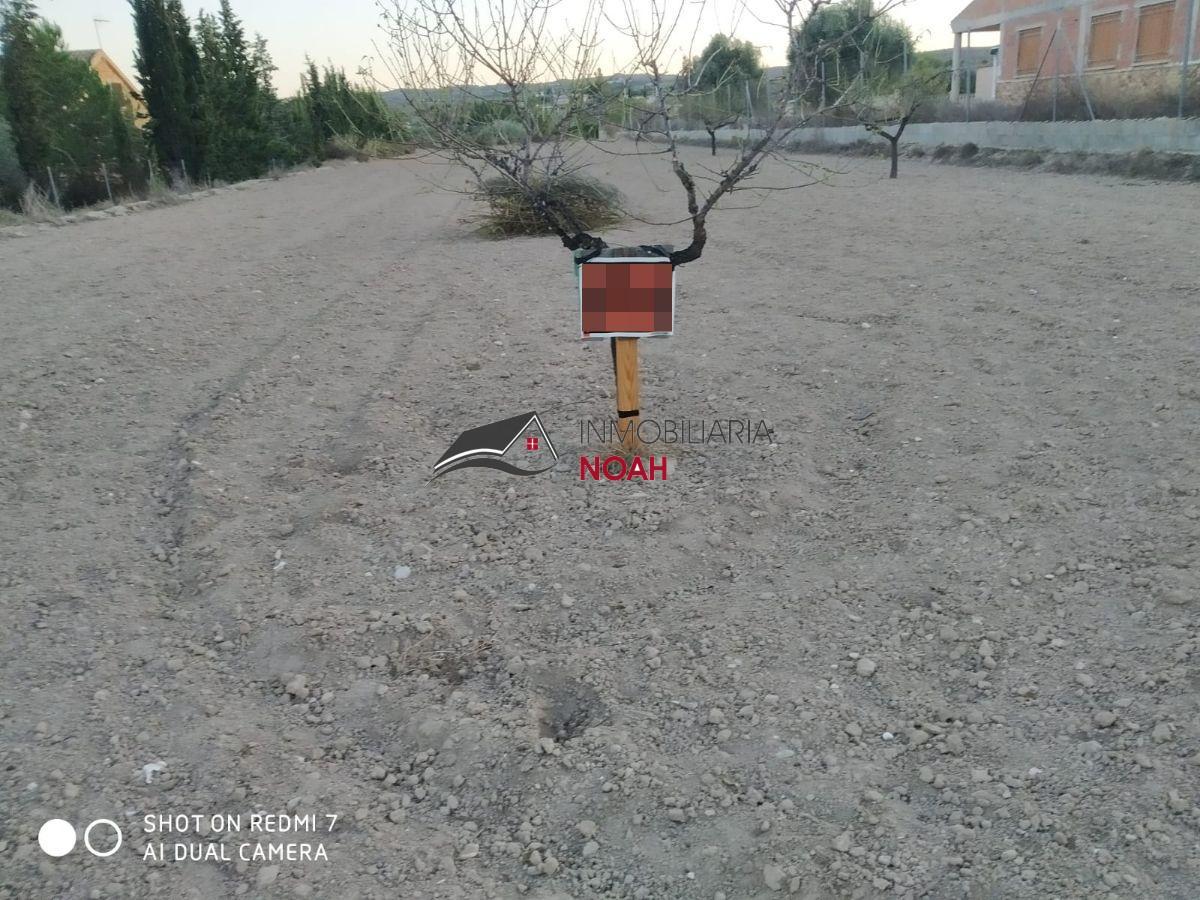 Venta de terreno en Murcia