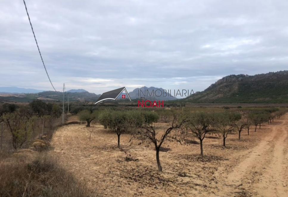 For sale of rural property in Ricote