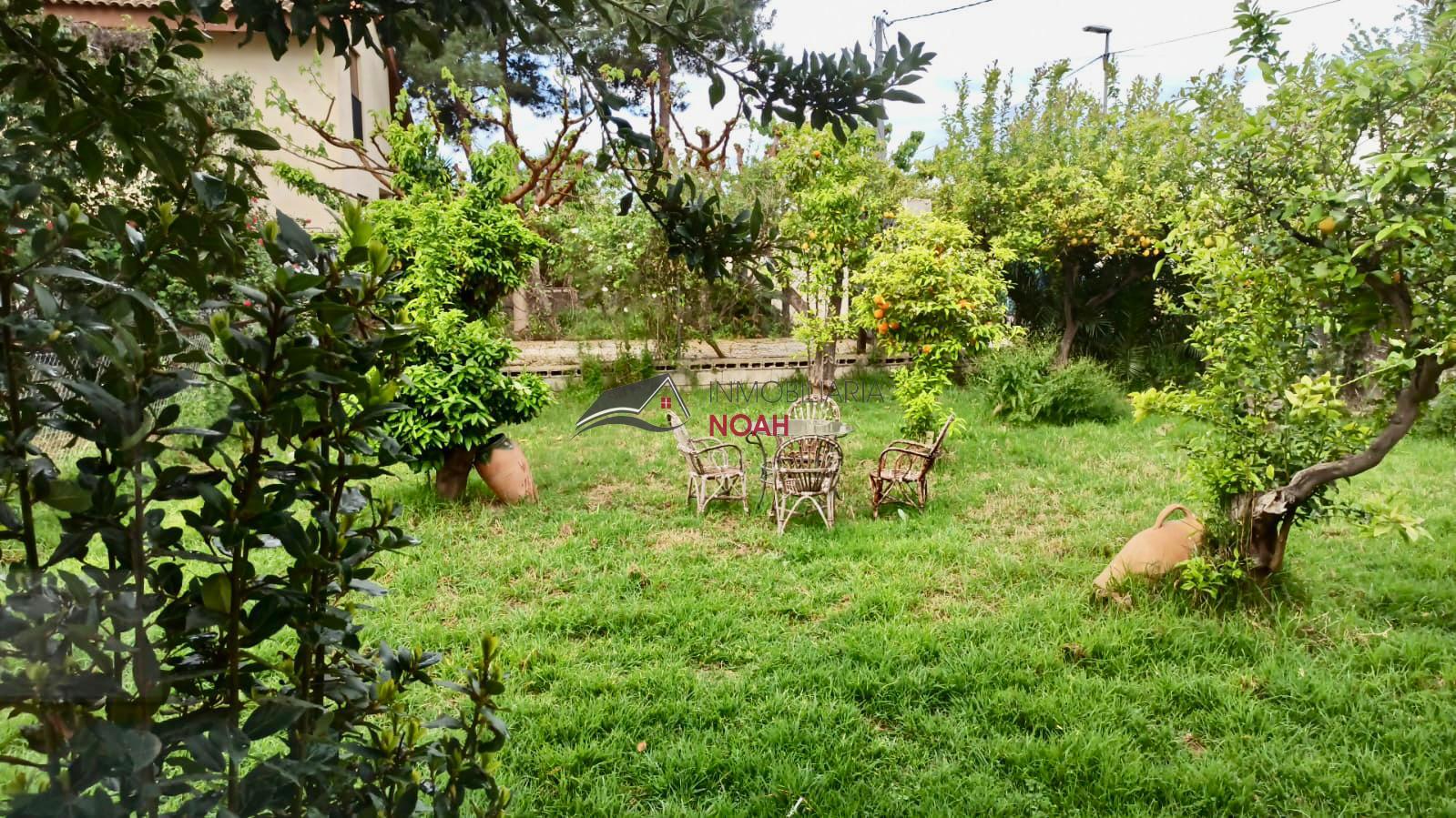 For rent of study in Murcia