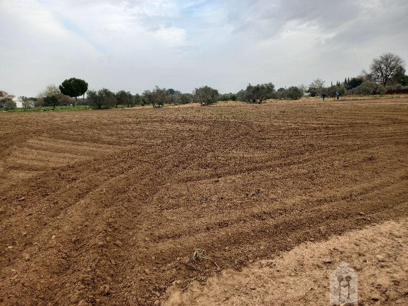 For sale of land in Sevilla