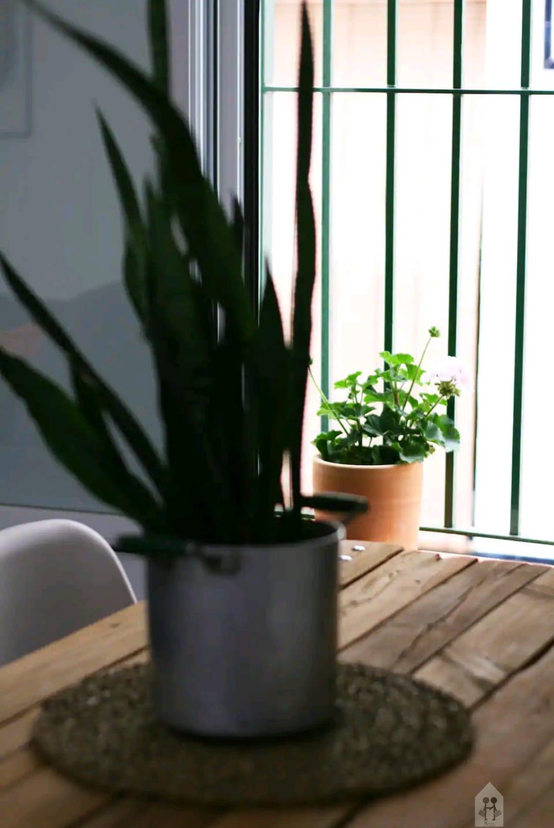 Venta de piso en Sevilla