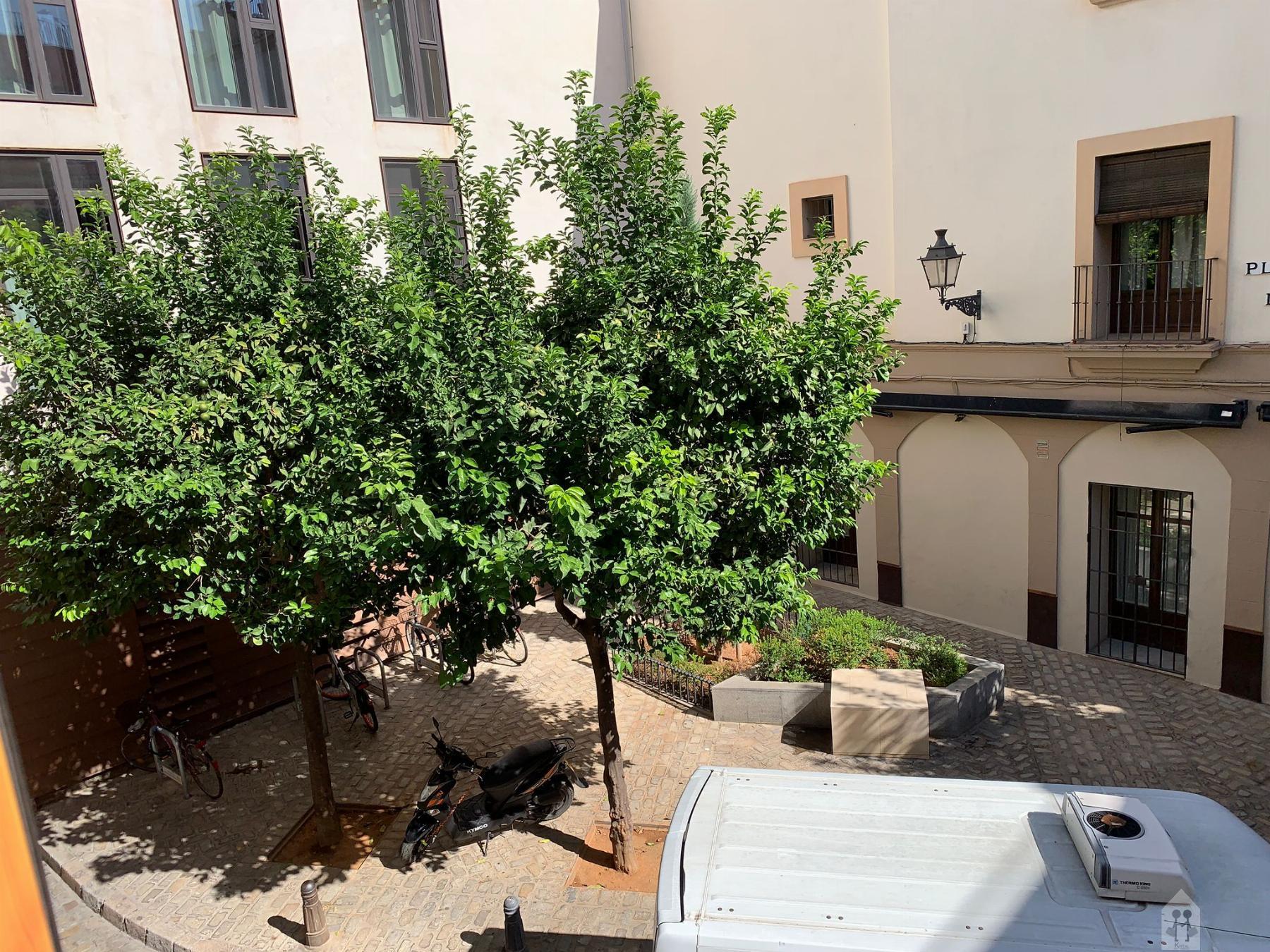 Venta de piso en Sevilla
