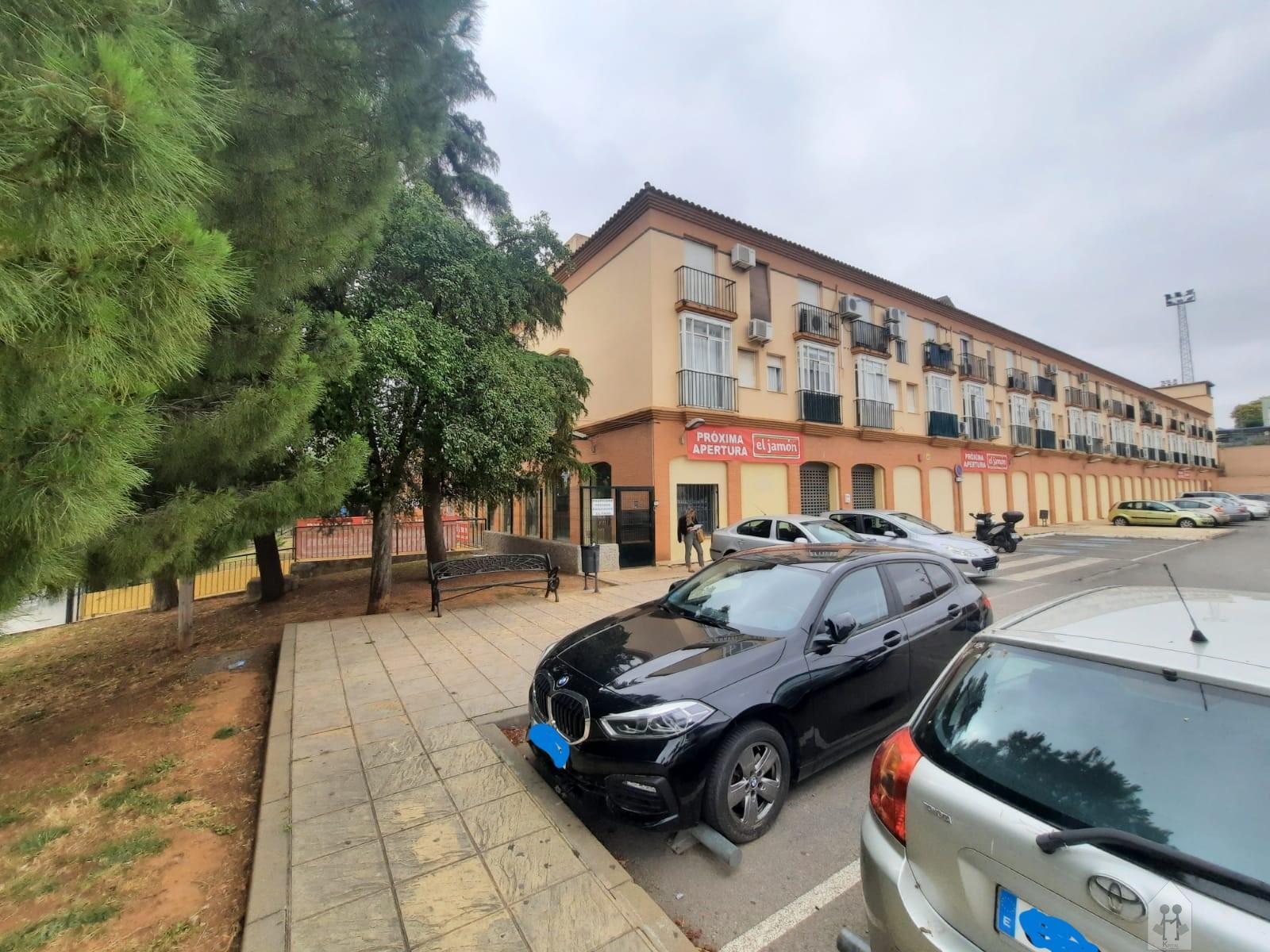 For sale of premises in Tomares