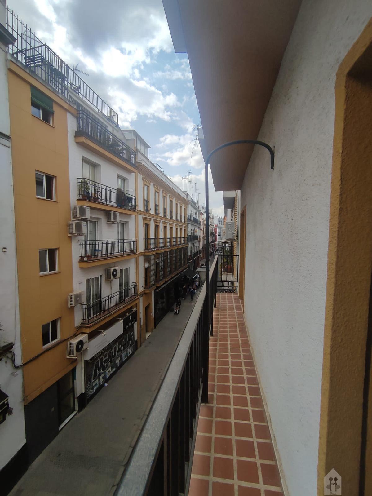 For rent of flat in Sevilla