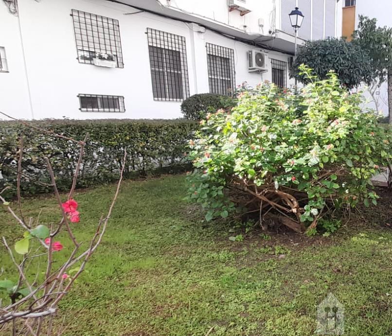 Venta de piso en Sevilla