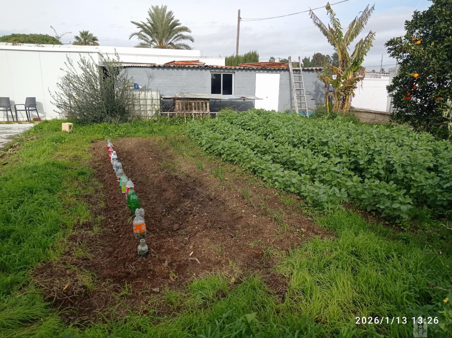 Venta de chalet en Jerez de la Frontera