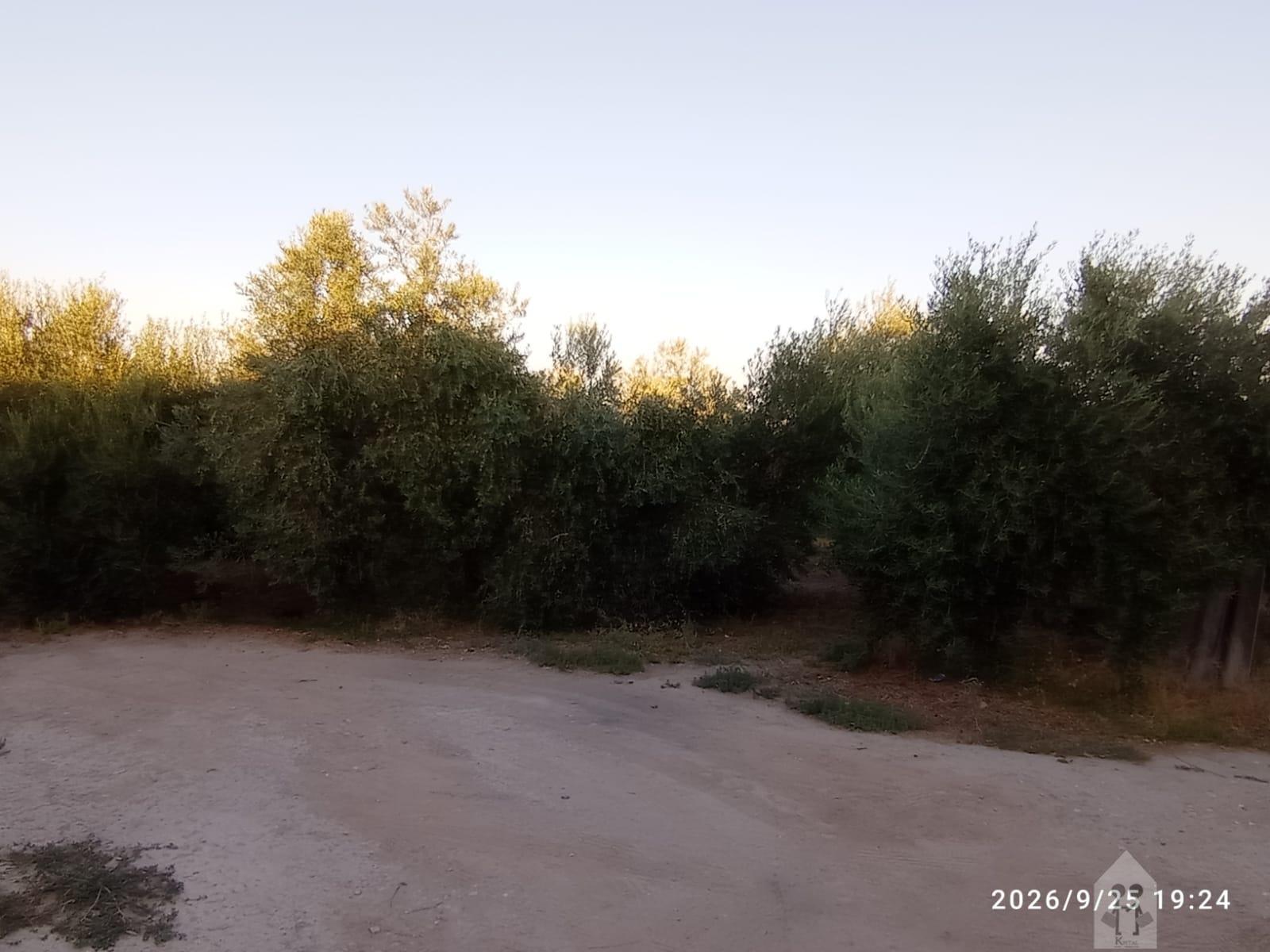 Venta de finca rústica en Jerez de la Frontera