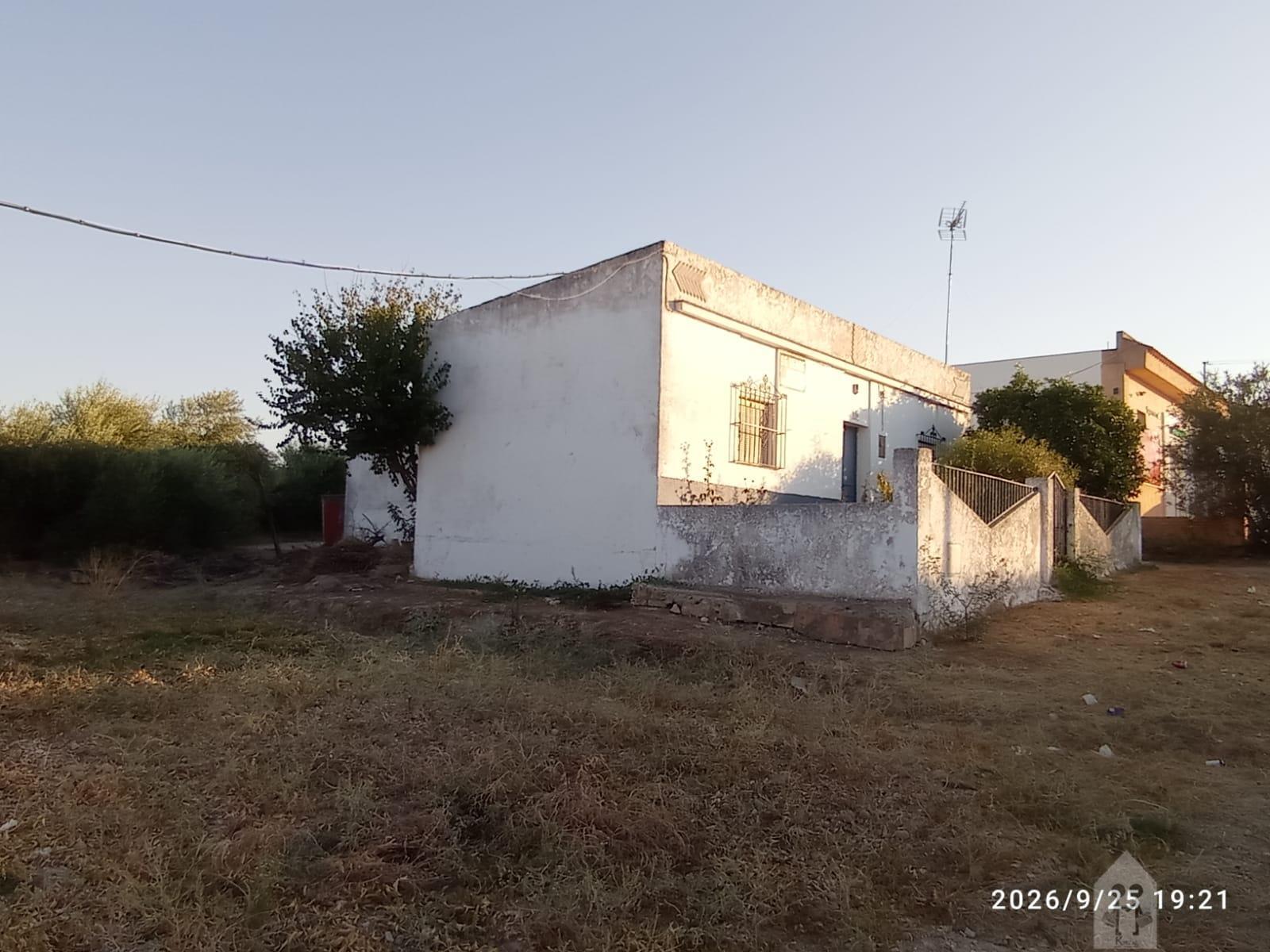 Venta de finca rústica en Jerez de la Frontera