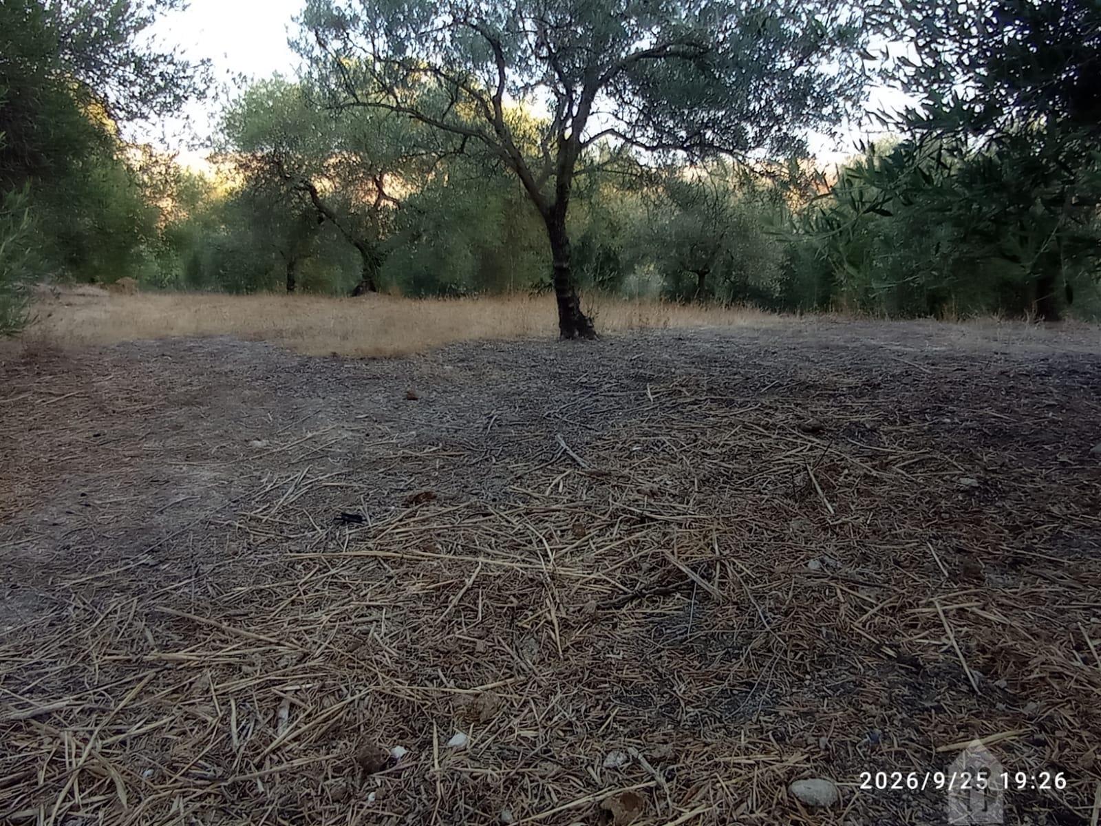 Venta de finca rústica en Jerez de la Frontera