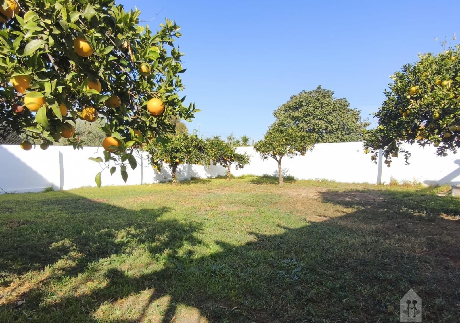 Venta de chalet en Mairena del Aljarafe