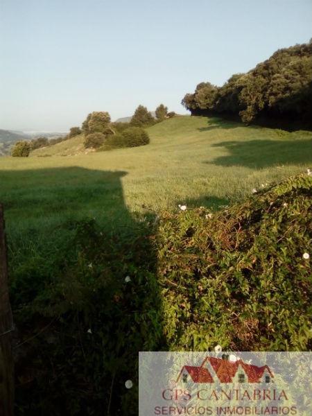 For sale of rural property in Entrambasaguas