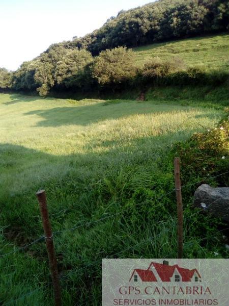 For sale of rural property in Entrambasaguas