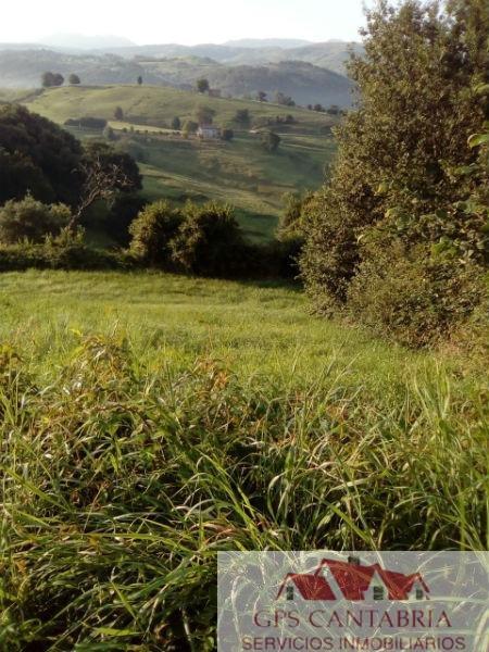 For sale of rural property in Entrambasaguas