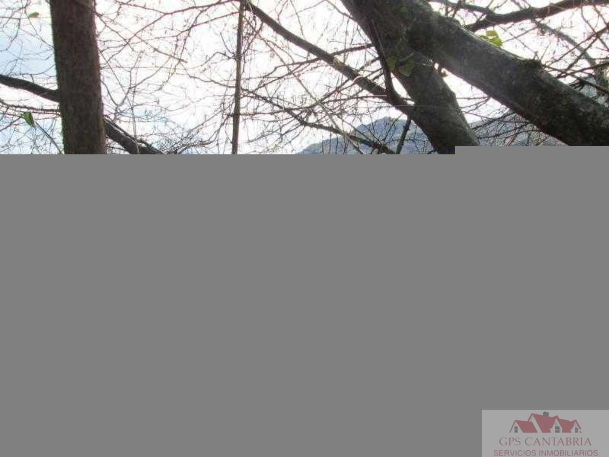 For sale of land in Soba