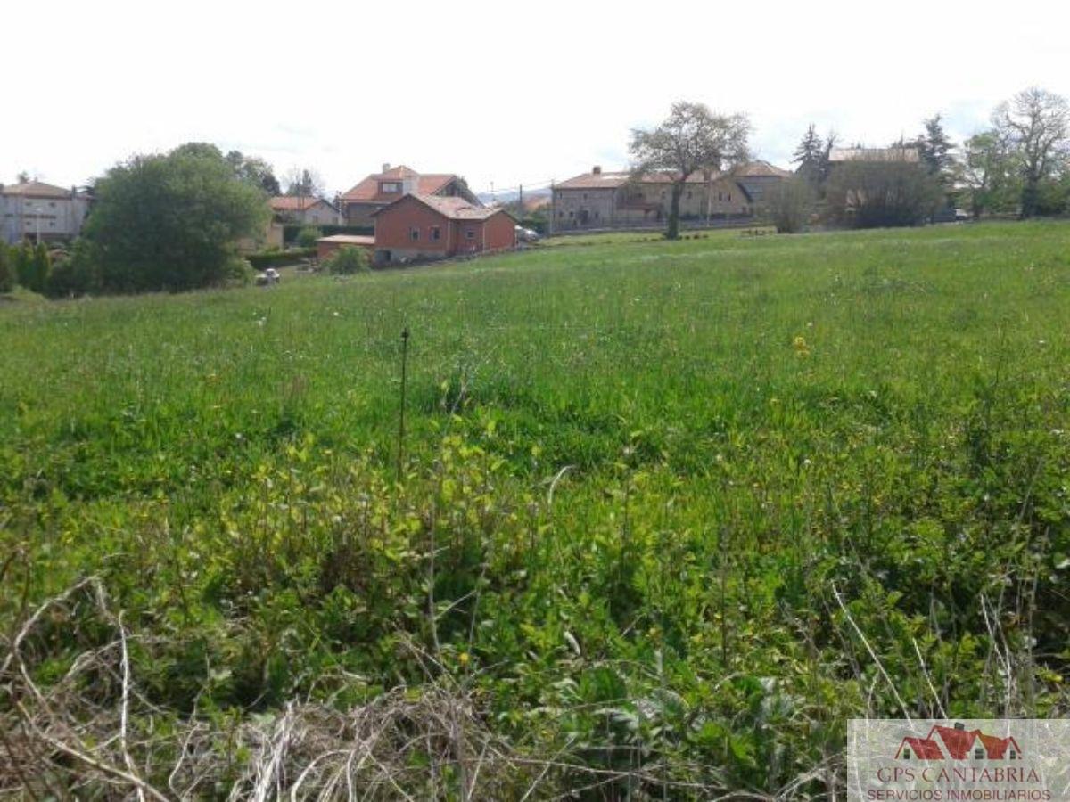 For sale of land in Reocín