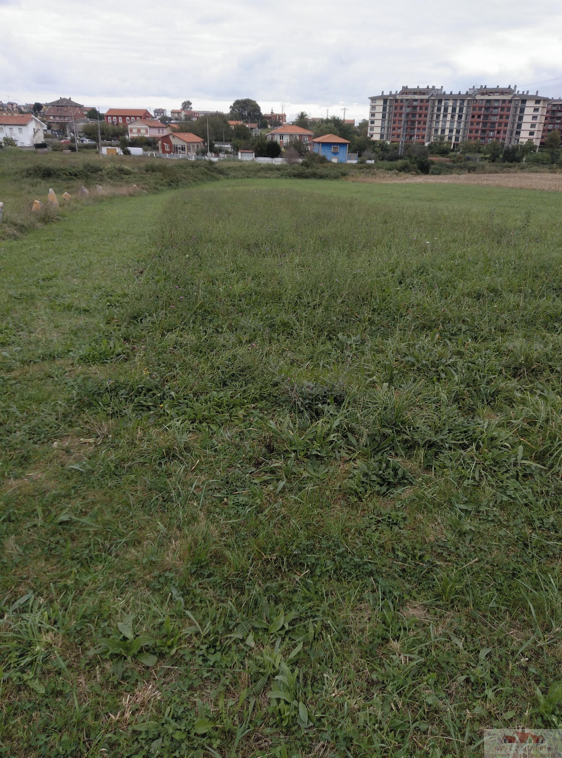 For sale of land in Santander