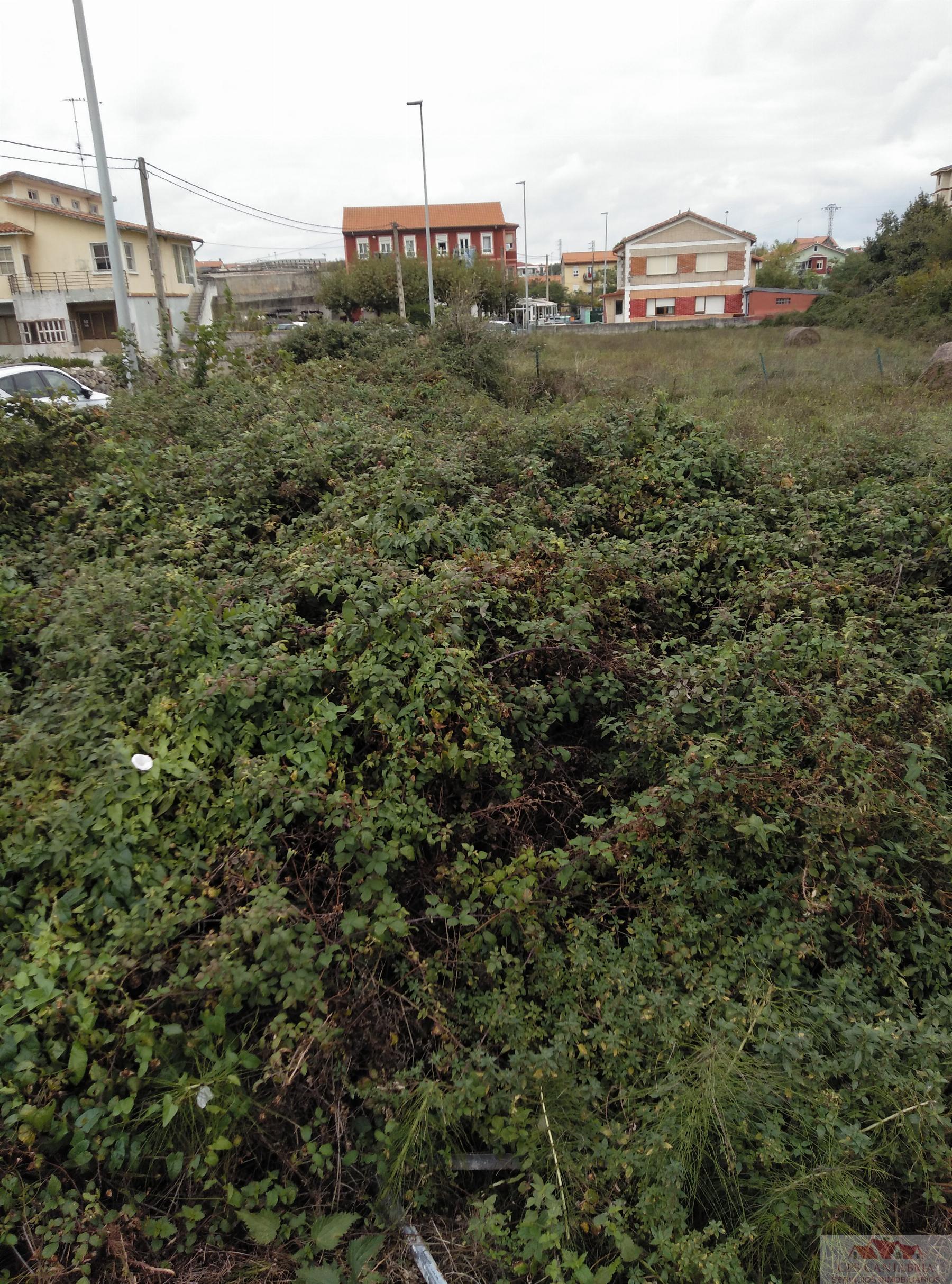 For sale of land in Santander