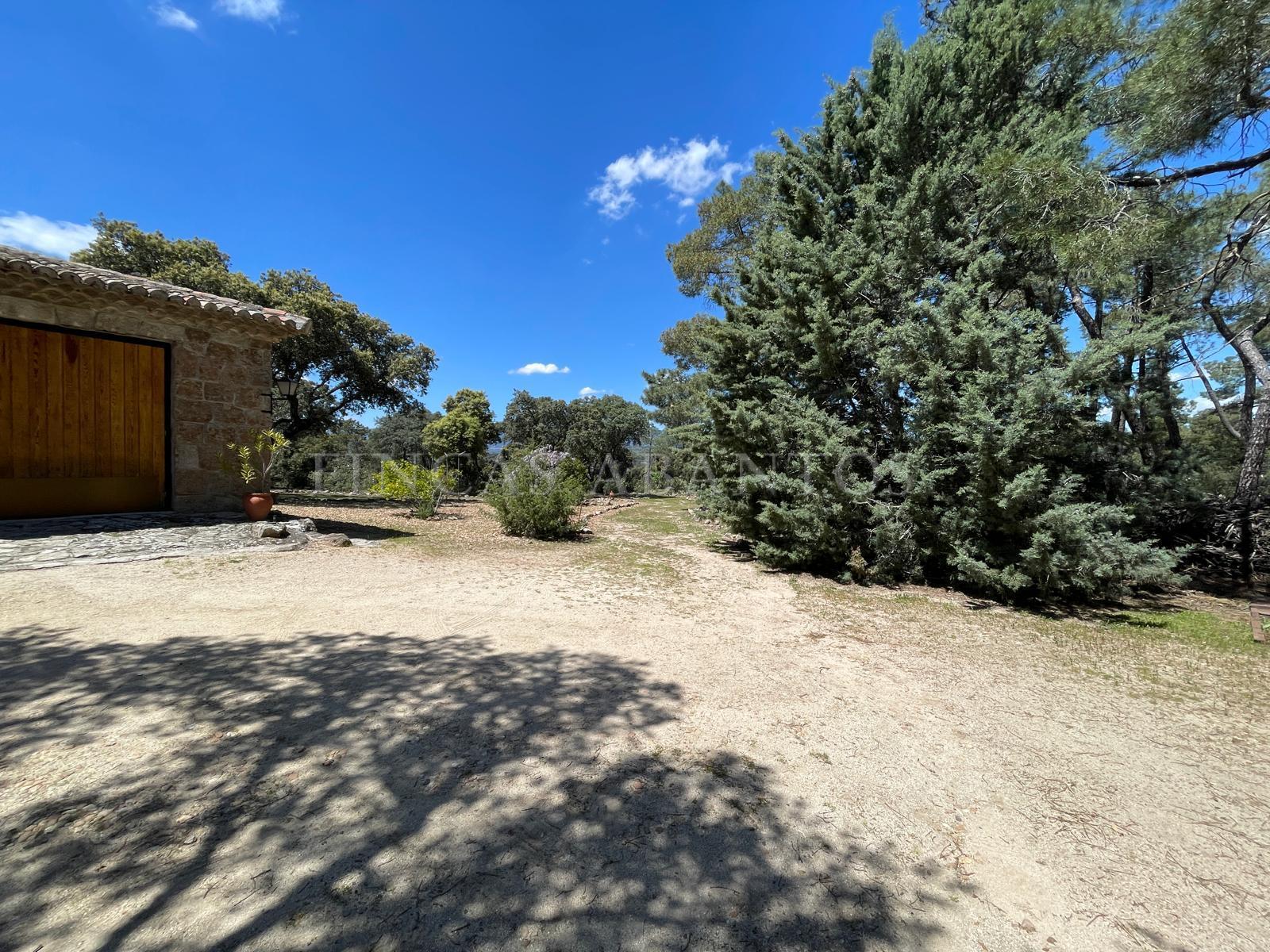 Venta de finca de recreo en Colmenarejo