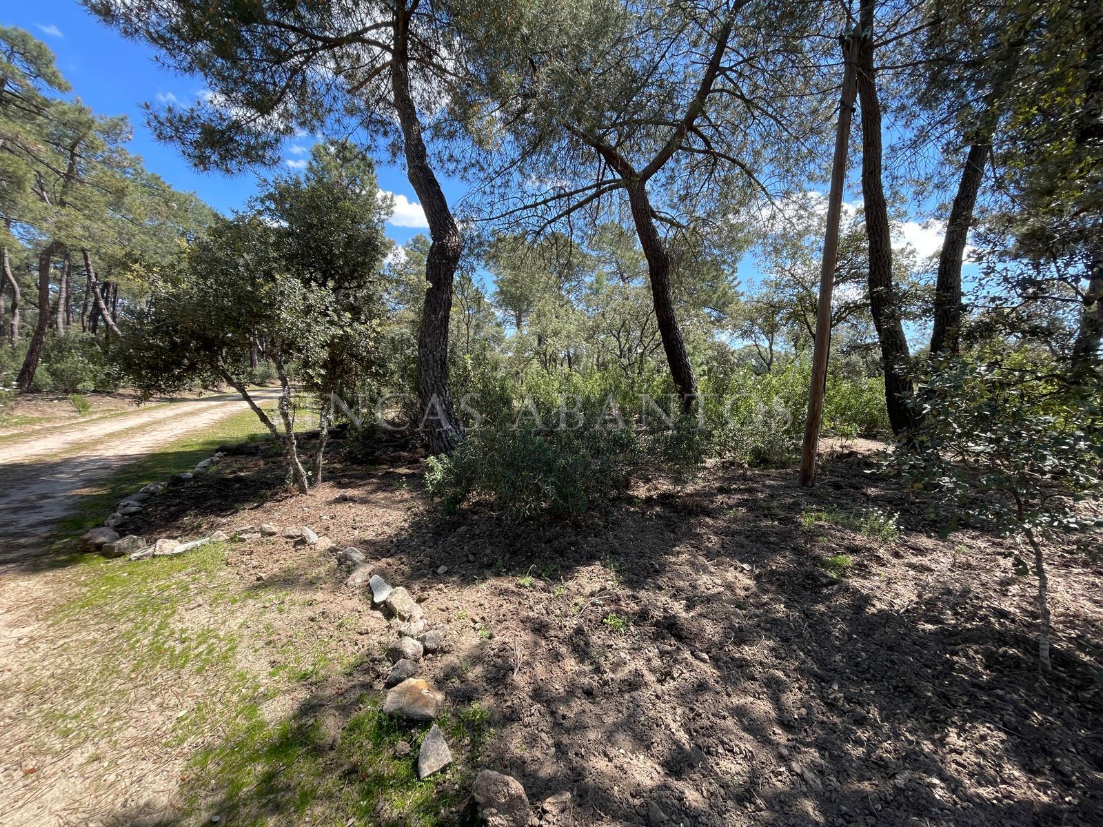 Venta de finca de recreo en Colmenarejo