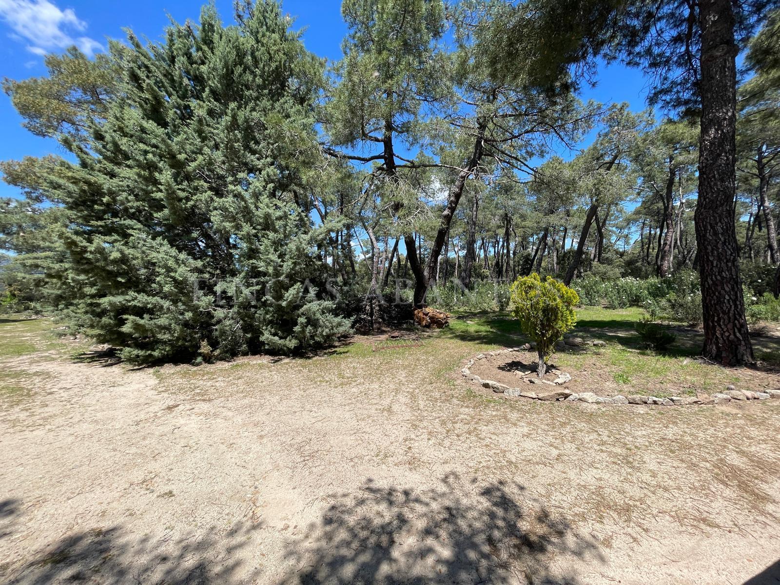 Venta de finca de recreo en Colmenarejo