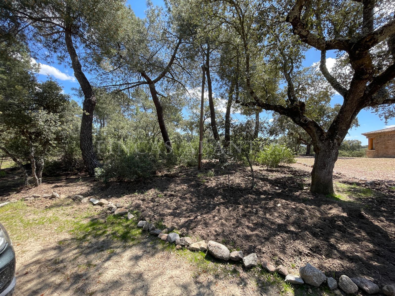 Venta de finca de recreo en Colmenarejo