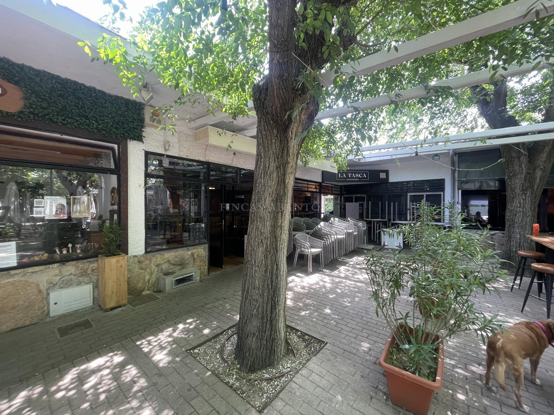 Venta de local en Guadarrama