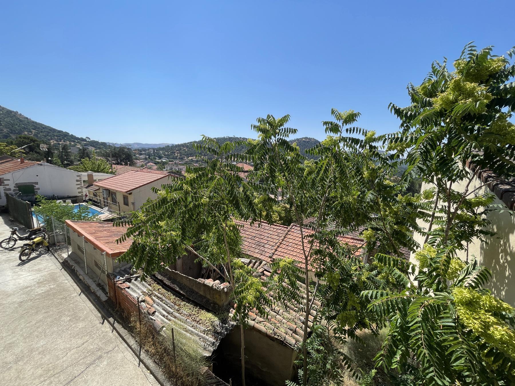 Vistas