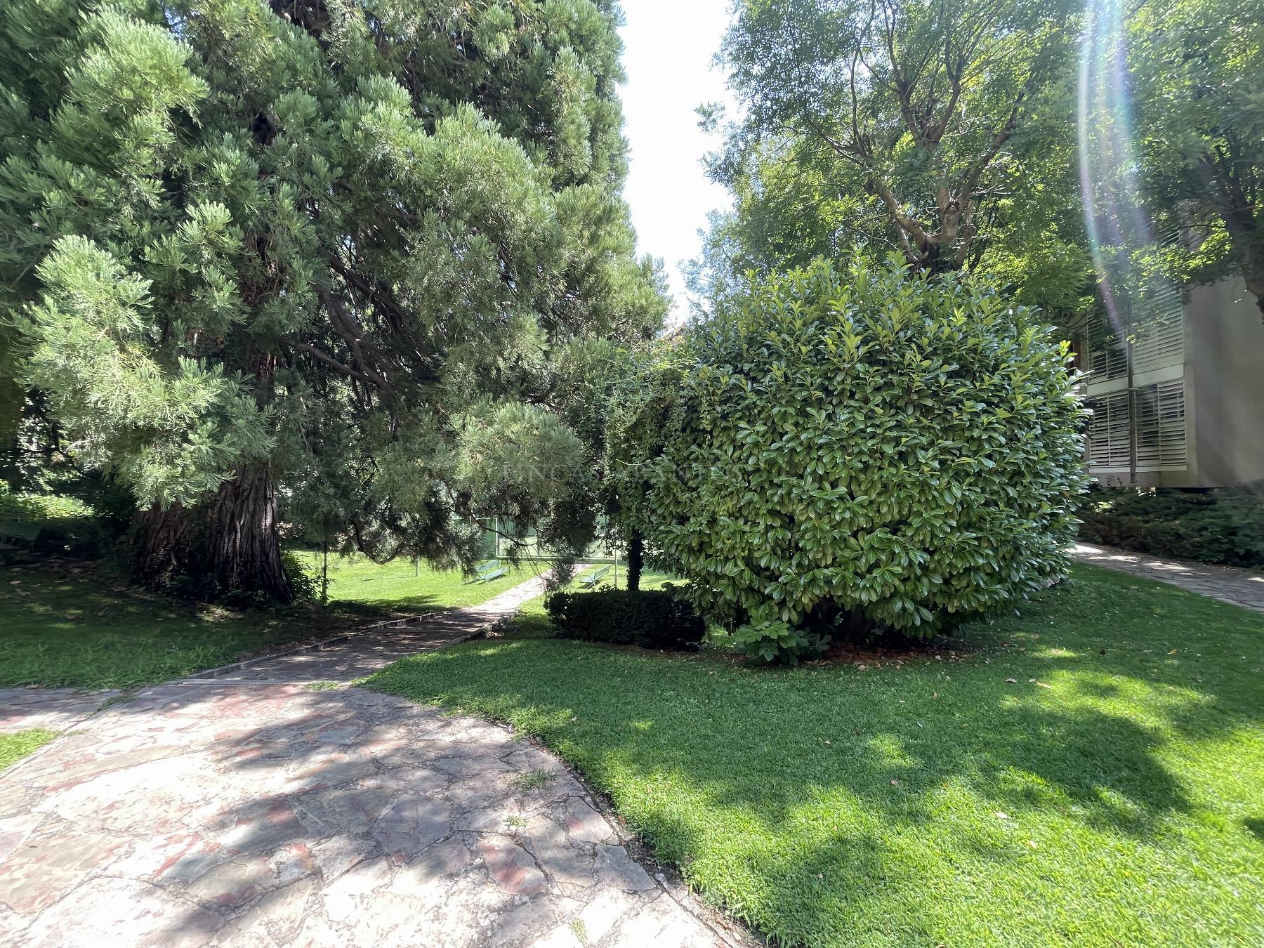 Alquiler de piso en San Lorenzo de El Escorial
