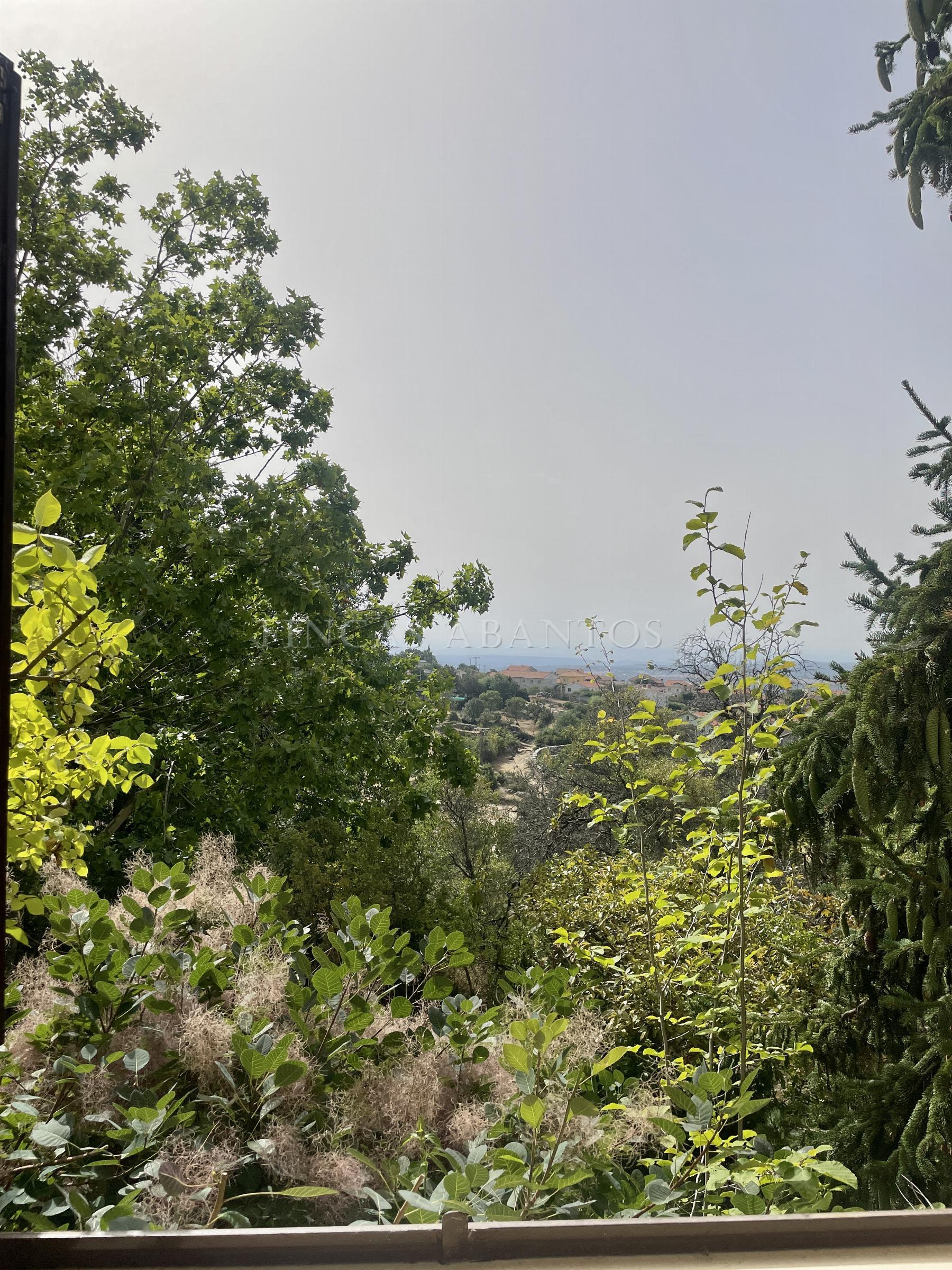 Views