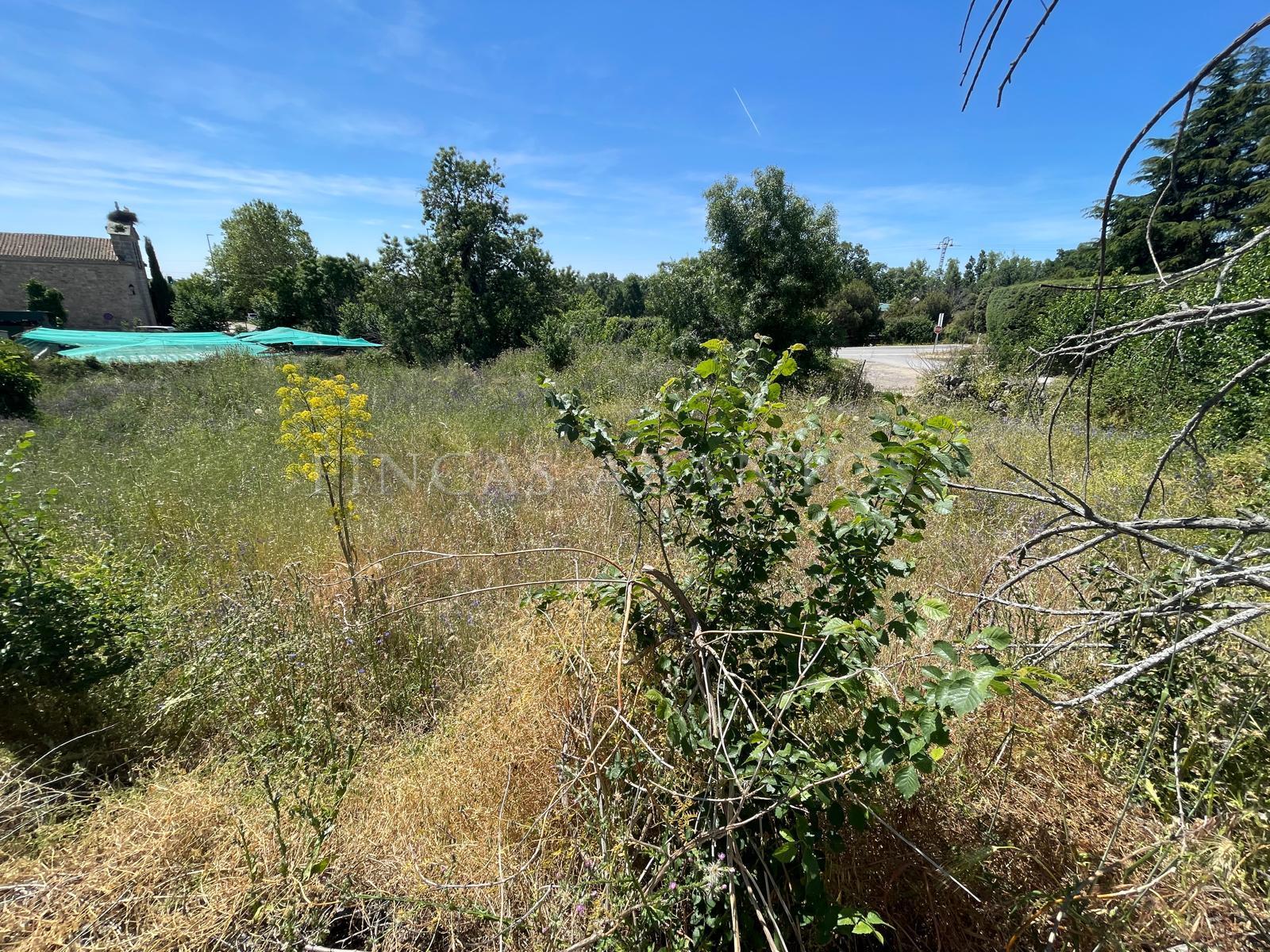 For sale of land in Peralejo