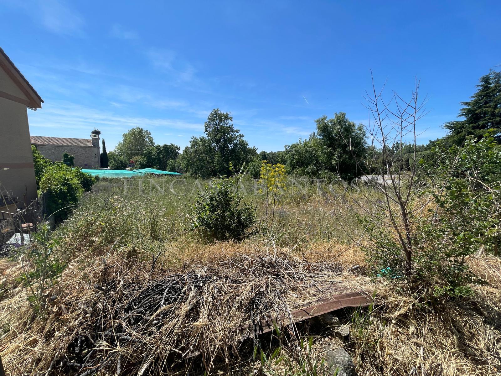 For sale of land in Peralejo