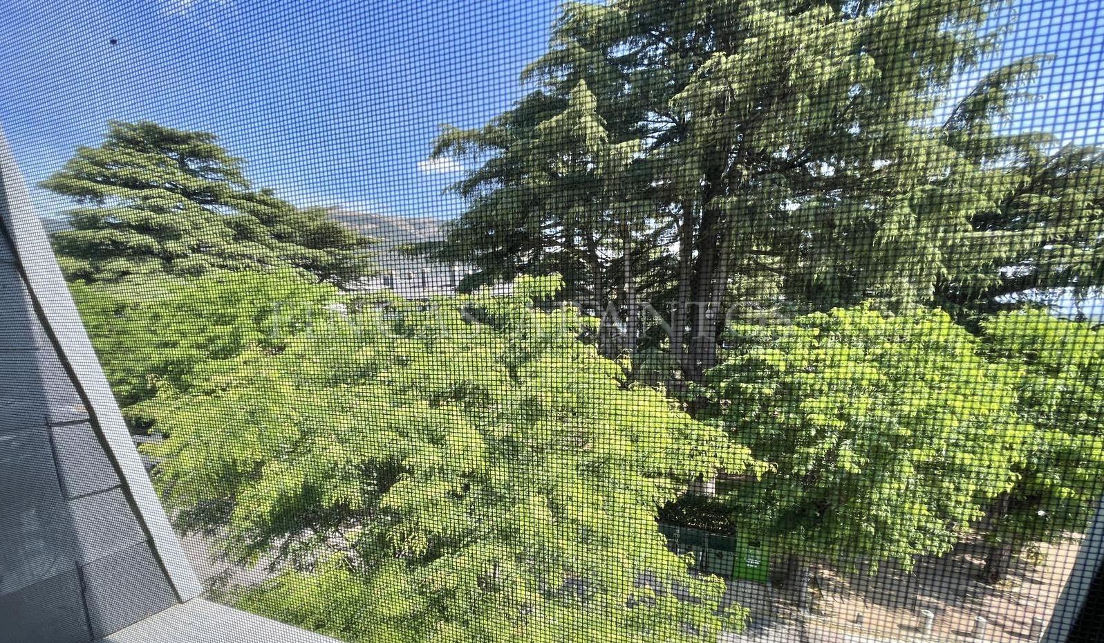 Views