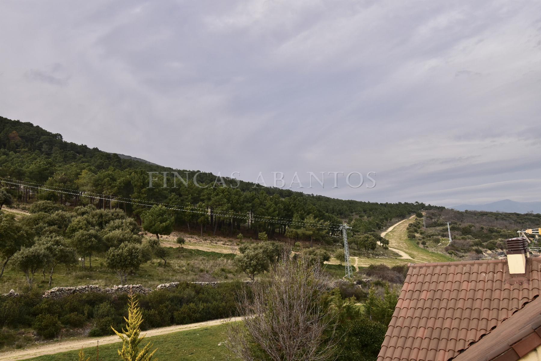 Vistas