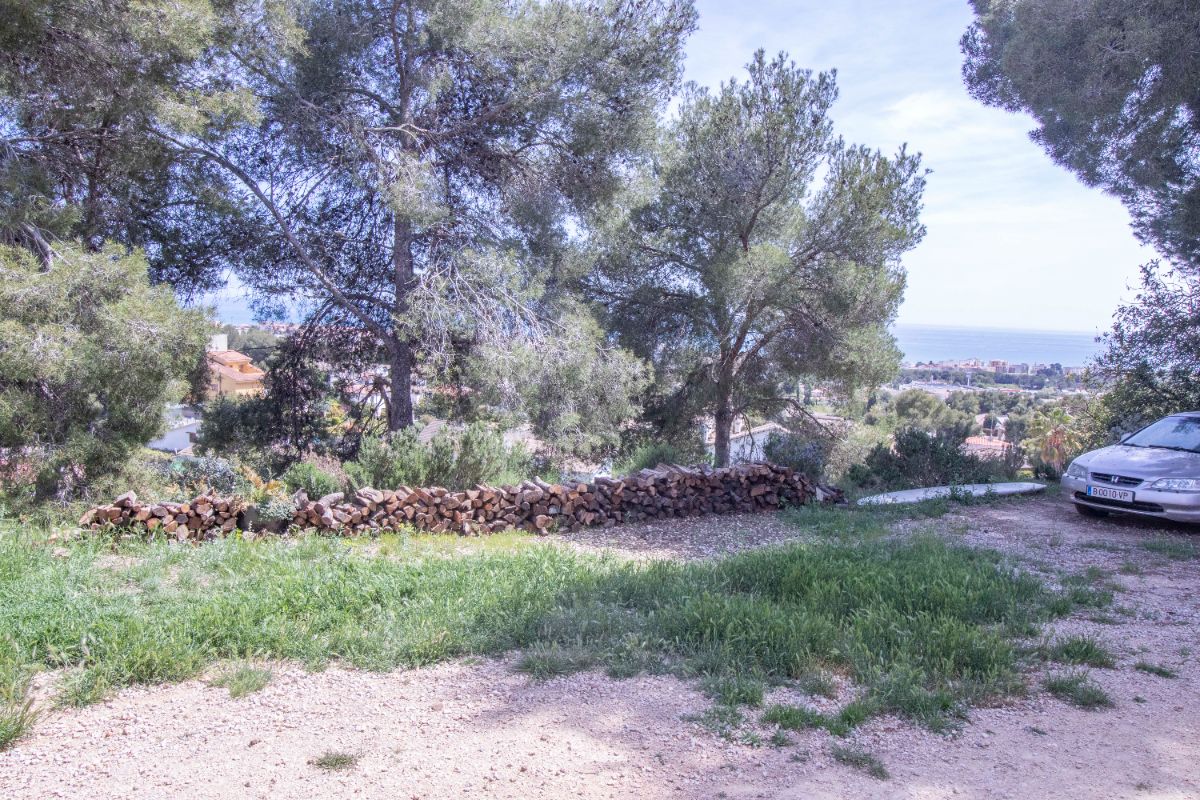 For sale of land in Coma - Ruga