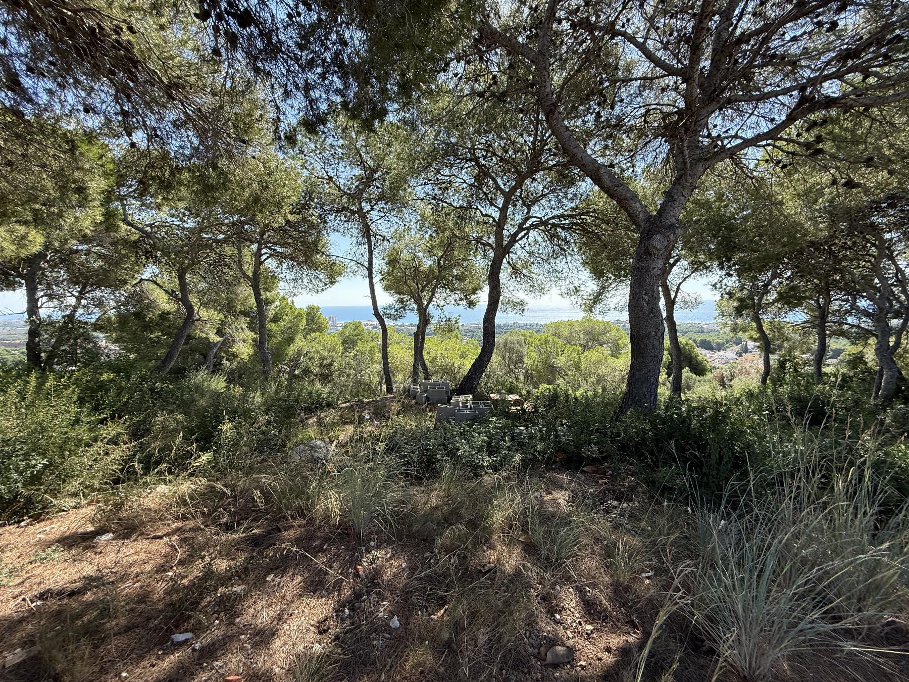 Venta de terreno en Coma - Ruga